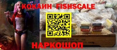 индика Гатчина