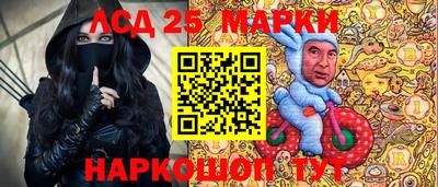 индика Гатчина