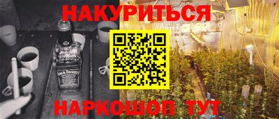 индика Гатчина