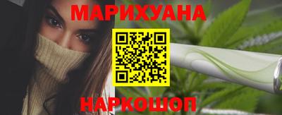 индика Гатчина