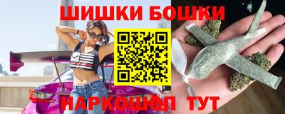 индика Гатчина