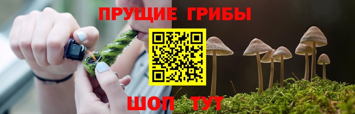 Галлюциногенные грибы MAGIC MUSHROOMS  Вход с VPN  Лабинск 